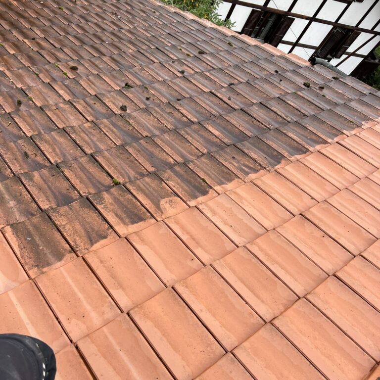 Dachreinigung